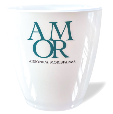 Glacette branded AMOR