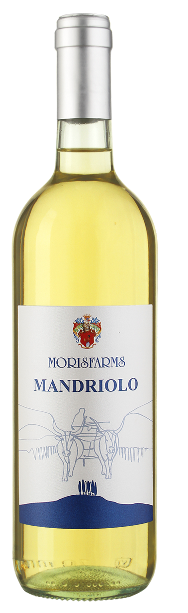 Mandriolo | Vino Bianco d’Italia | 750 ML