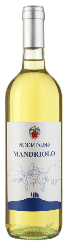 Mandriolo | Vino Bianco d’Italia | 750 ML