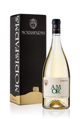 AMOR | Igt Costa Toscana Ansonica 2024 | MAGNUM 1.5L