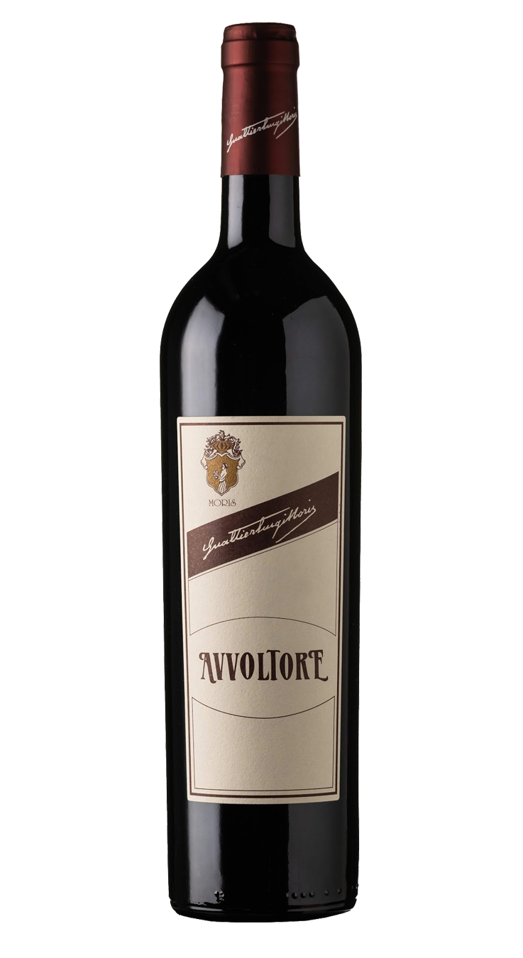 Avvoltore | IGT Toscana 2019 | 750 ML