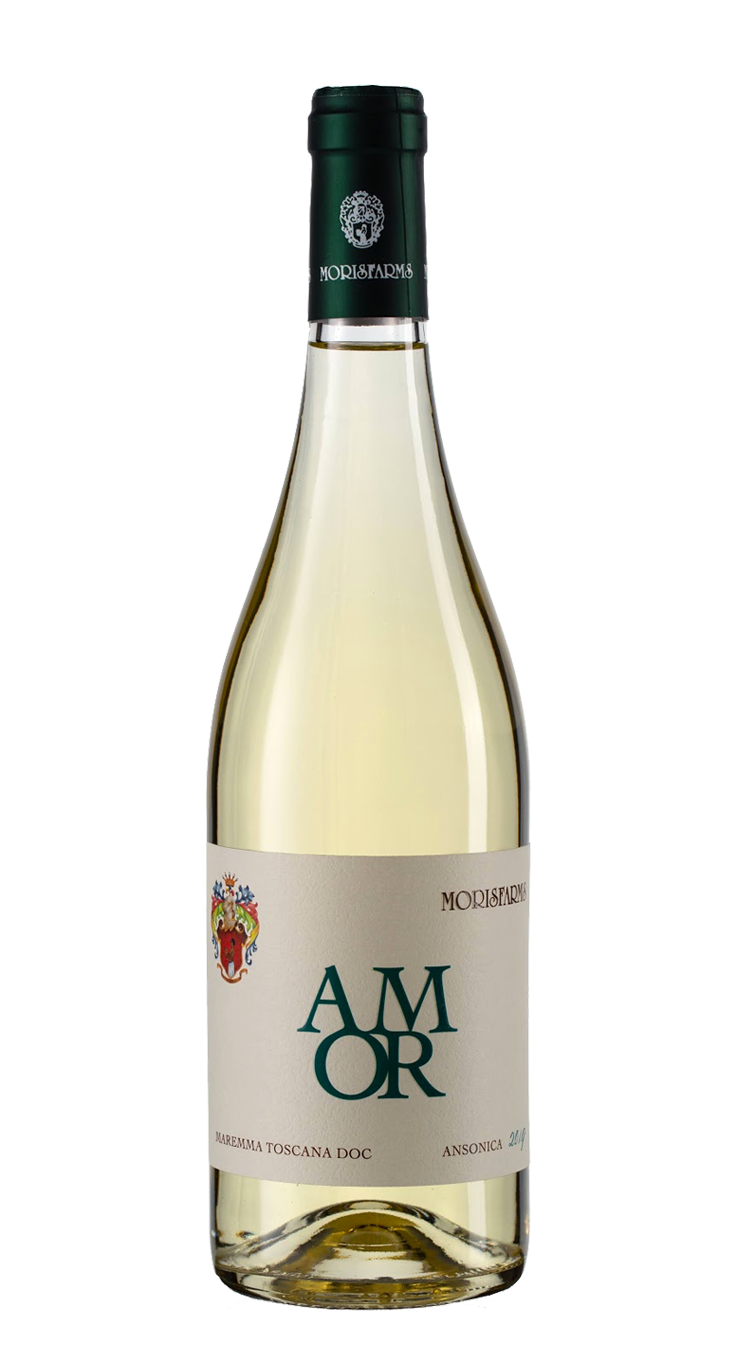 AMOR | Igt Costa Toscana Ansonica 2024 | 750 ML