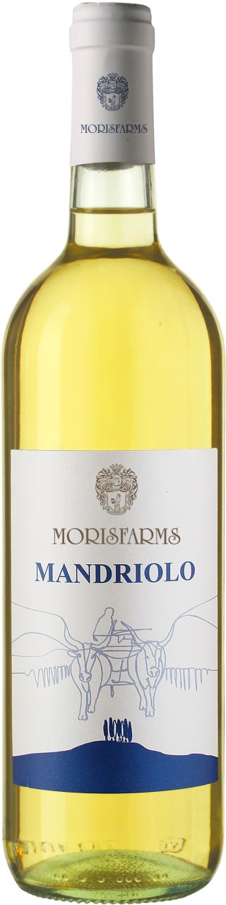Mandriolo | Vino Bianco d’Italia | 750 ML