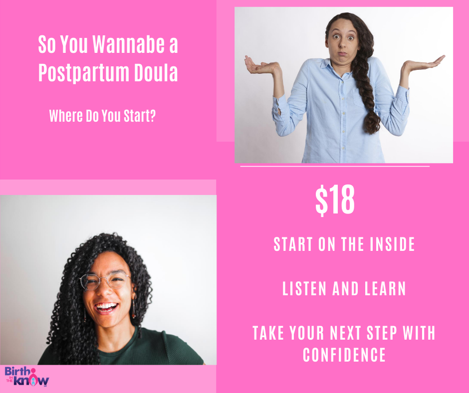So You Wannabe a Postpartum Doula So You Wannabe a Postpartum Doula