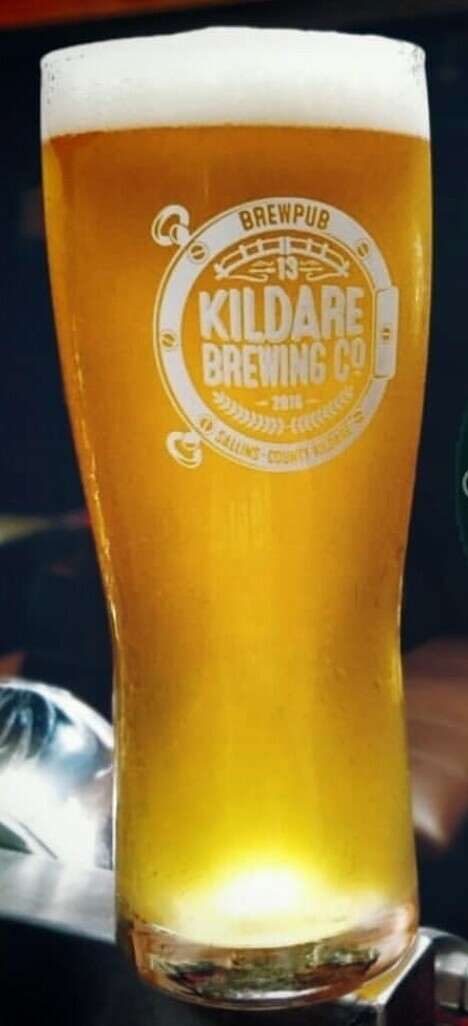 Pint of Beer (An Actual Draft Pint) Pint of Beer (An Actual Draft Pint)