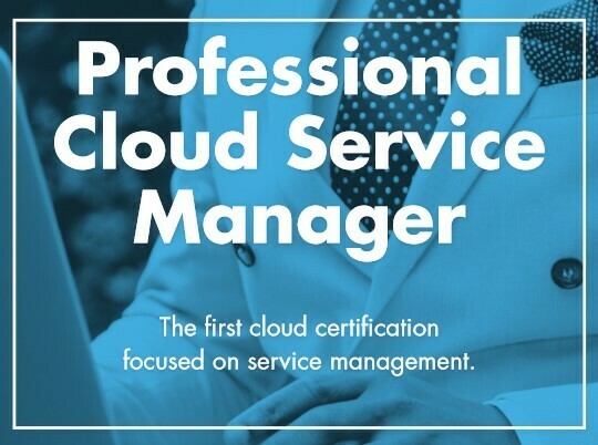 Professional Cloud Service Manager