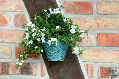 Pflanztopf/Blumentopf Wand klein Keramik hellblau