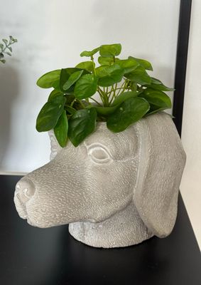 Übertopf Hund Dackel grau