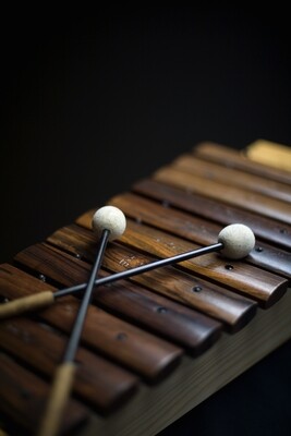 Mallet Percussion