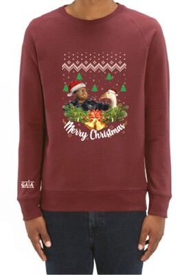 Christmas sweater 'Pas besoin de gaver' (FR)