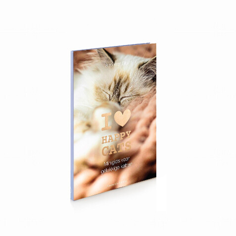 minigids I love Happy Cats - Anneleen Bru (NL)