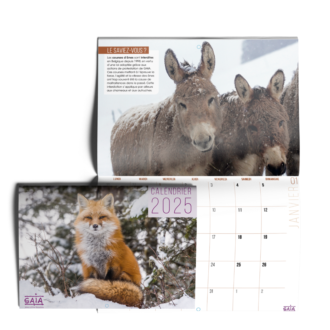 Jaarlijkse kalender 2025 (NL)