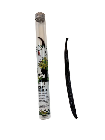 echte Vanille Vanilla Costaricensis