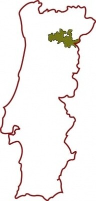 Avidagos