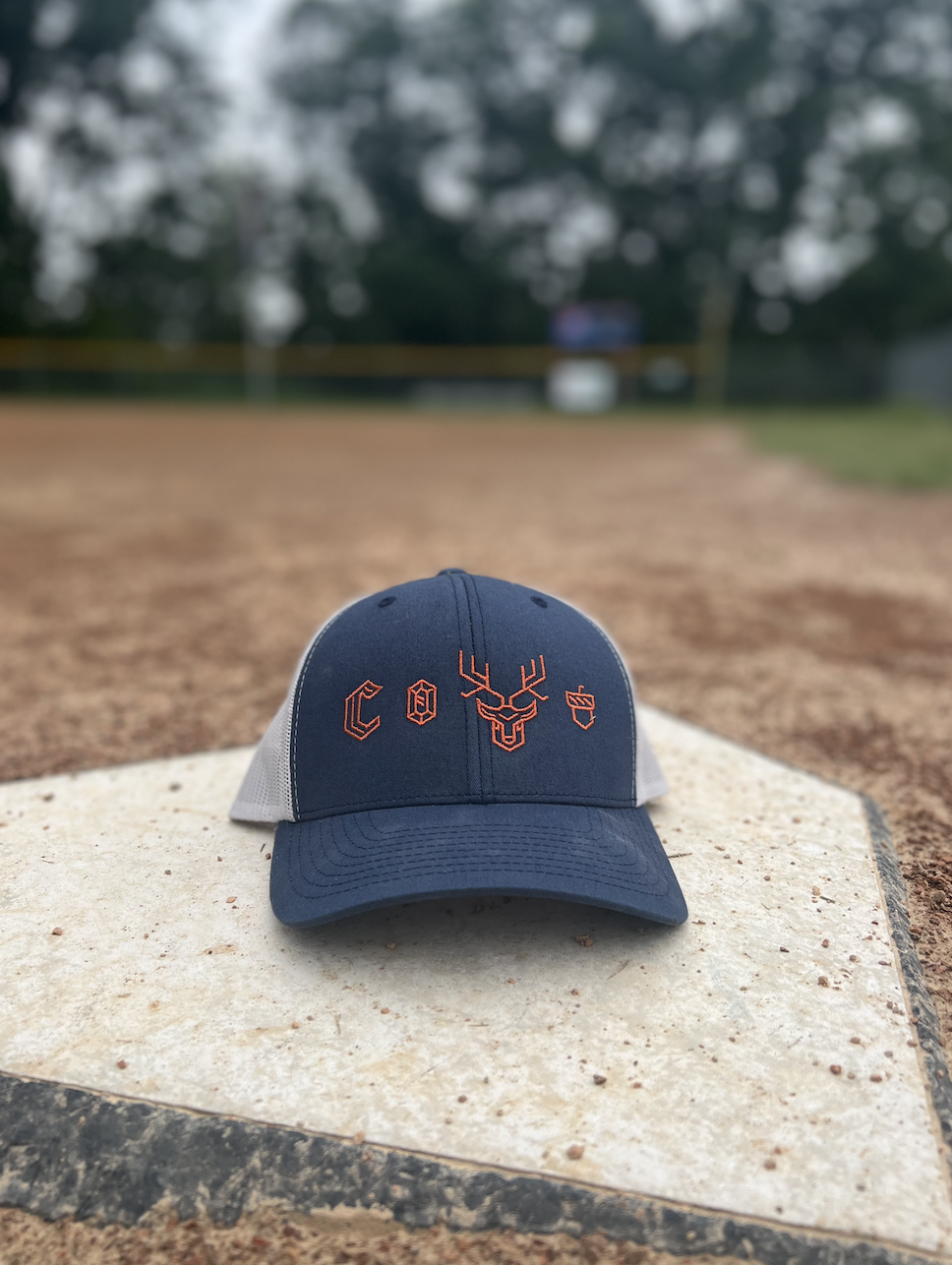 Azurite Camelot Icon Hat