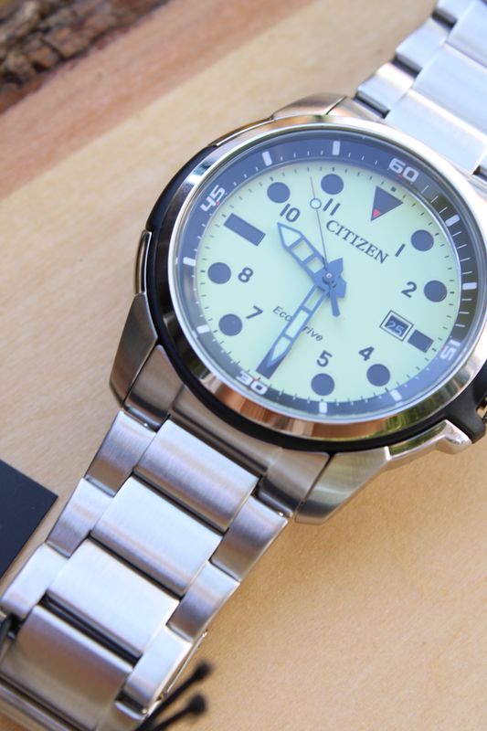 Citizen Eco Drive Sea Land Collection Watch AW1800-89X