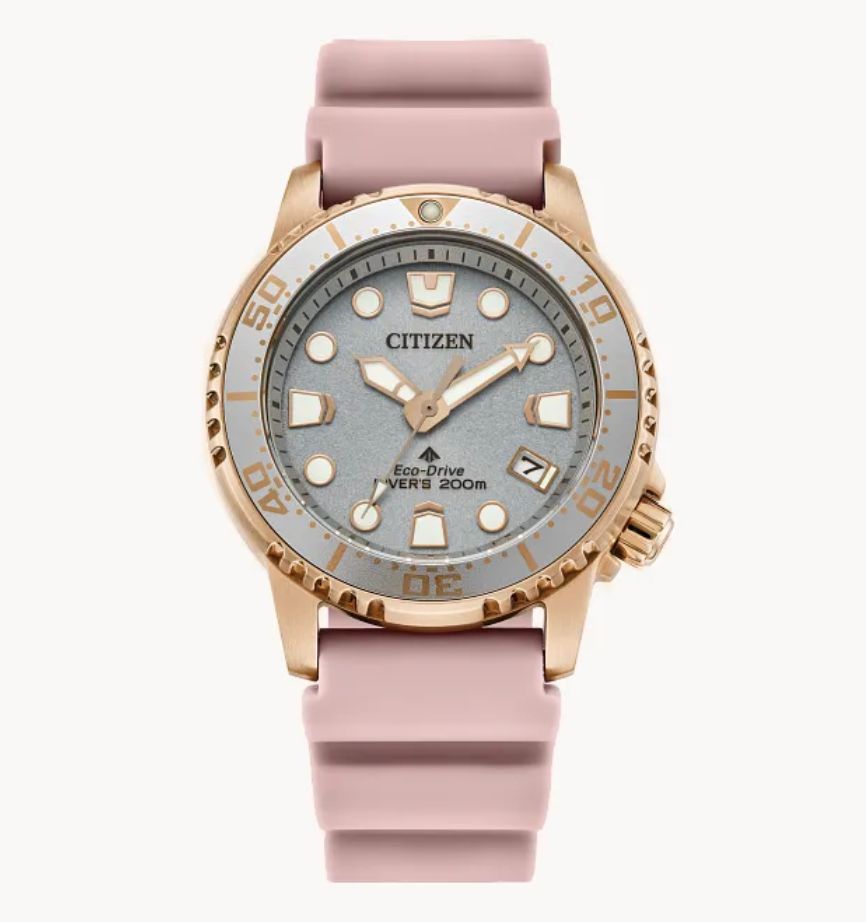 Citizen Promaster Dive Watch Citizen Promaster Dive Watch