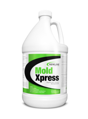 Mold Express  |  Mold Stain Remover