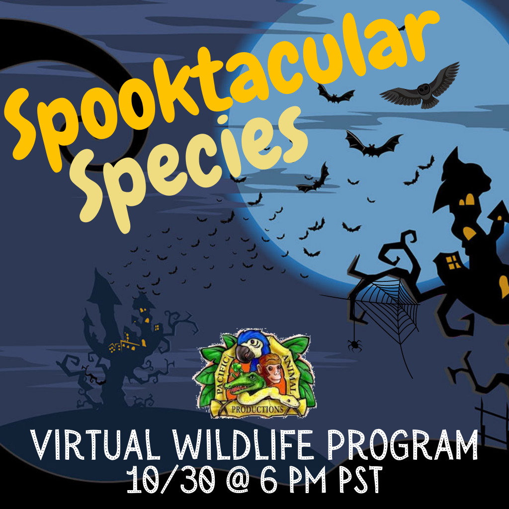 Spooktacular Species - Friday, October 30th @ 6:00 PM PST Spooktacular Species - Friday, October 30th @ 6:00 PM PST