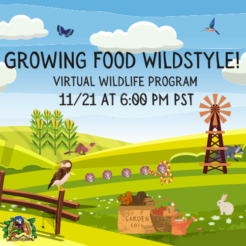 Growing Food Wildstyle - Virtual Family Wildlife Program Growing Food Wildstyle - Virtual Family Wildlife Program