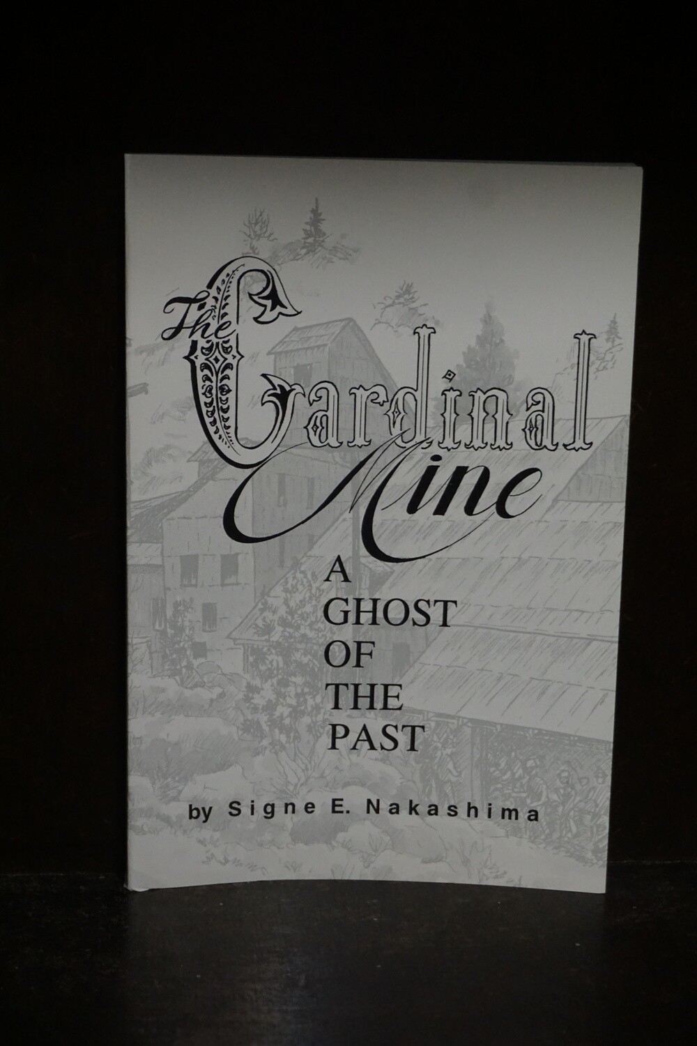 Cardinal Mine: A Ghost of the Past Cardinal Mine: A Ghost of the Past