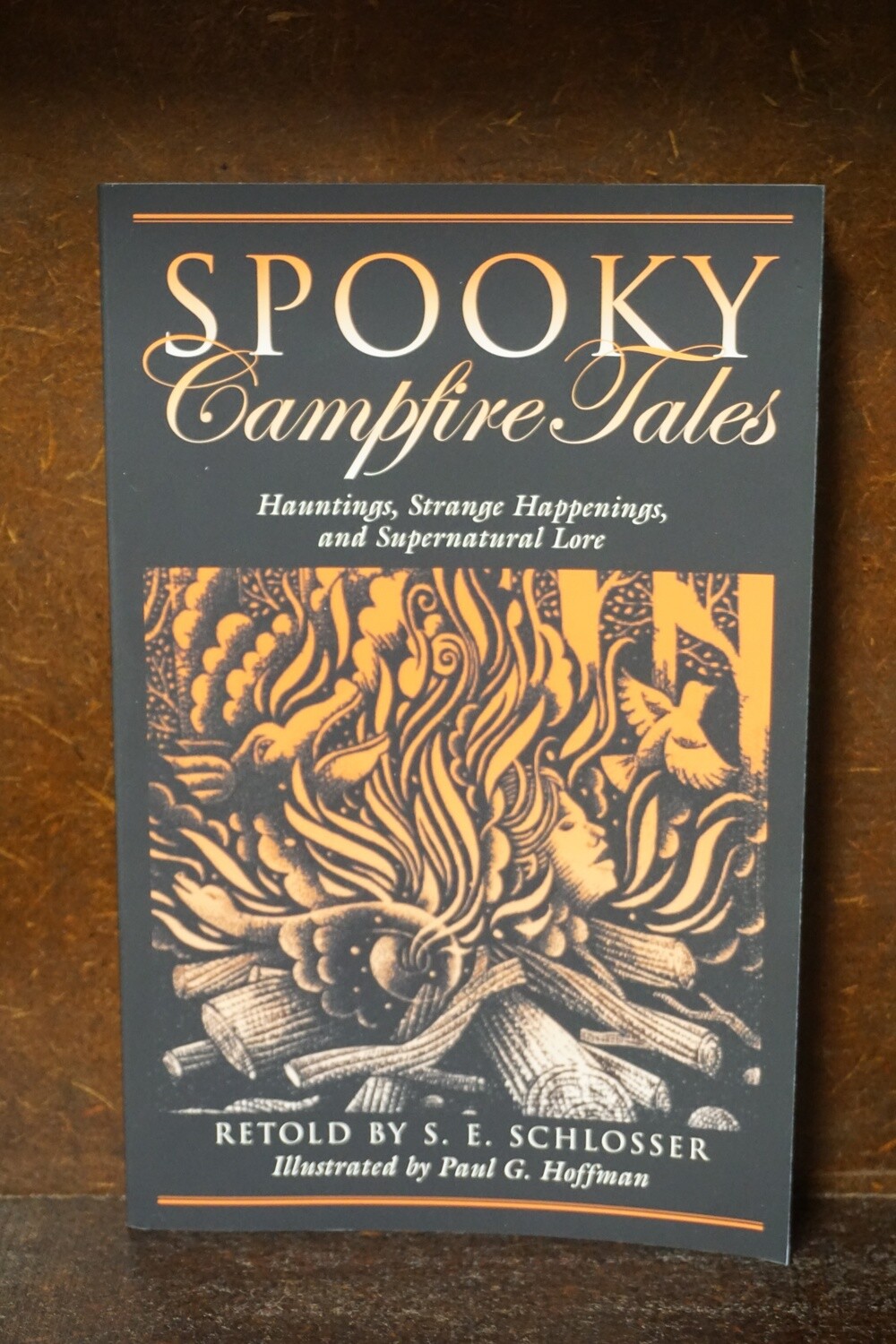 Spooky Campfire Tales