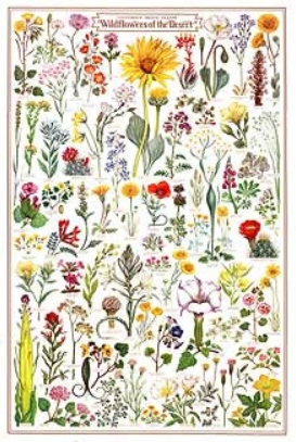 California Native Plant Society Poster, Type: Wildflowers of Sierra