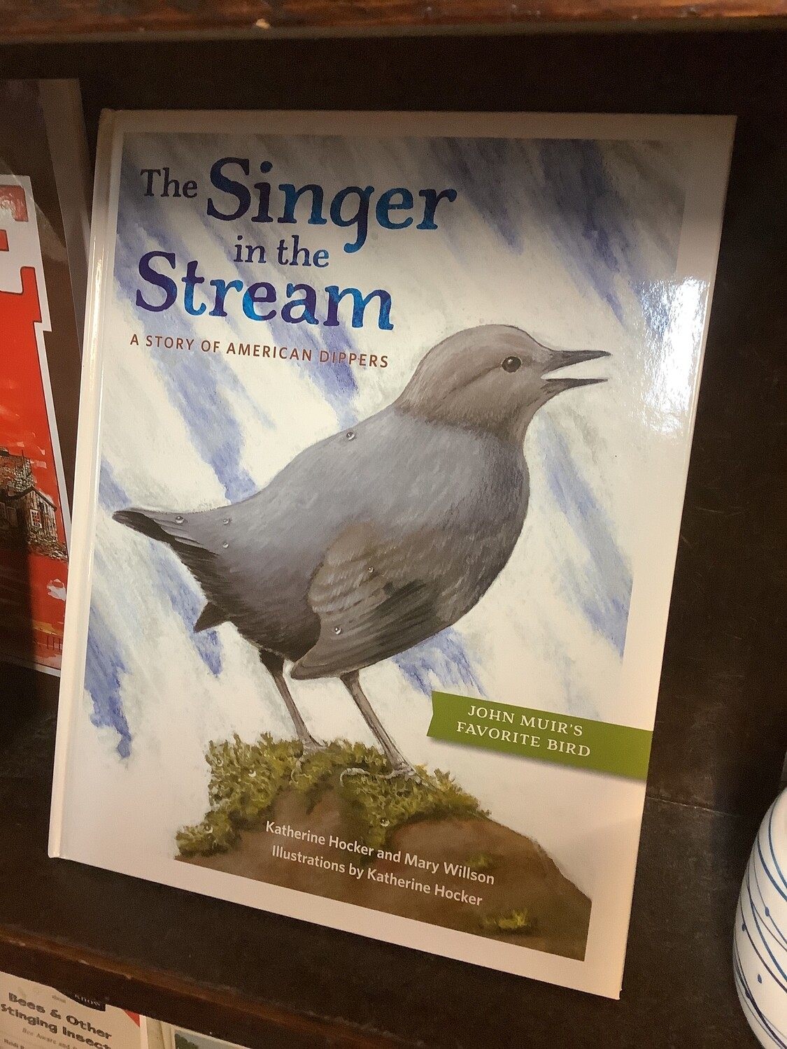Singer in the Stream