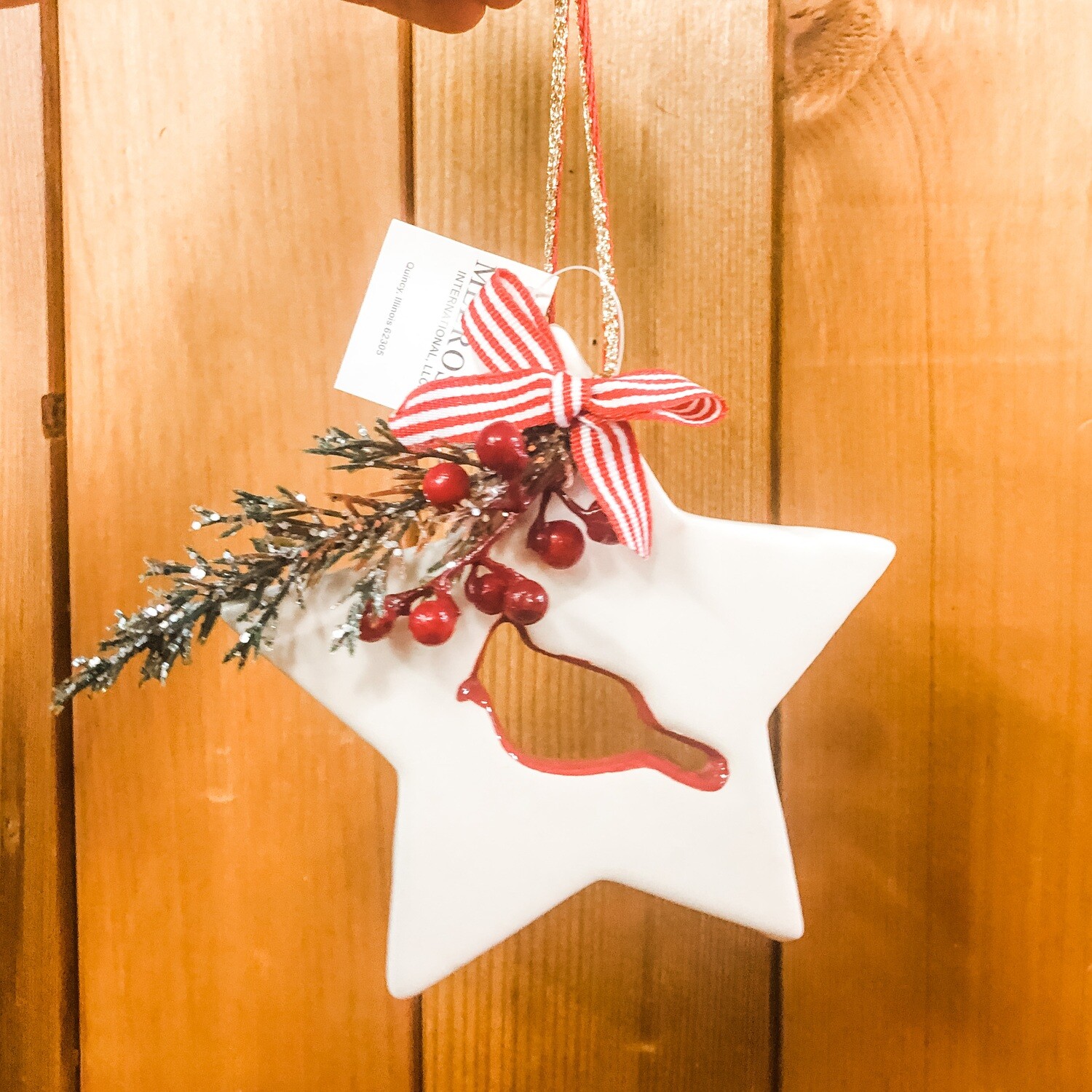 Star-Cut Cardinal Ceramic Ornament Star-Cut Cardinal Ceramic Ornament