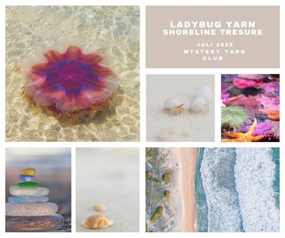 Shoreline Treasure Mystery Yarn Suri Silk Ultra Lace