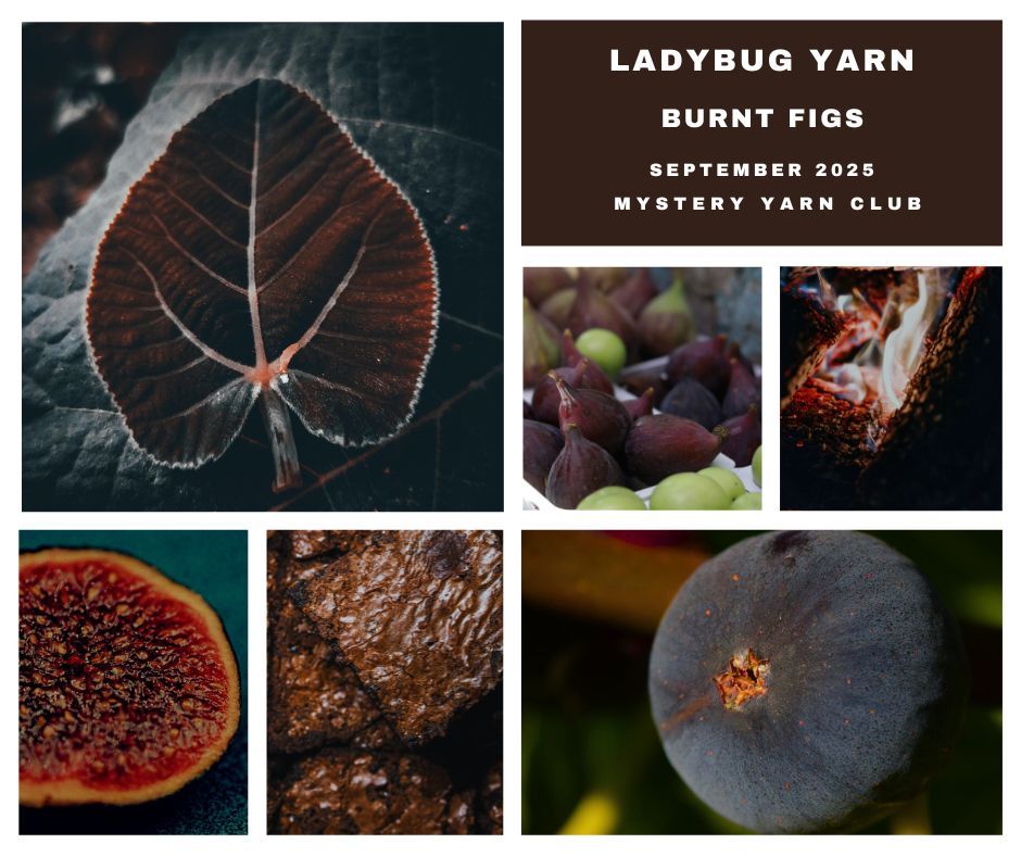 Burnt Figs Mystery Yarn Suri Silk Ultra Lace