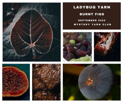 Burnt Figs Mystery Yarn Suri Silk Ultra Lace