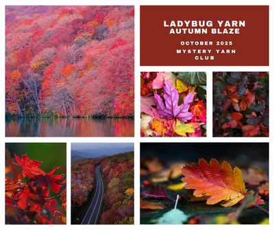 Autumn Blaze Mystery Yarn BFL/Silk/Lace 800m/100g