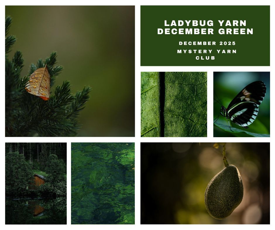 December Green Mystery Yarn BFL/Silk/Lace 800m/100g December Green Mystery Yarn BFL/Silk/Lace 800m/100g