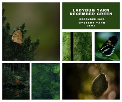 December Green Mystery Yarn Sock Set 100 g + 20 g +20 g