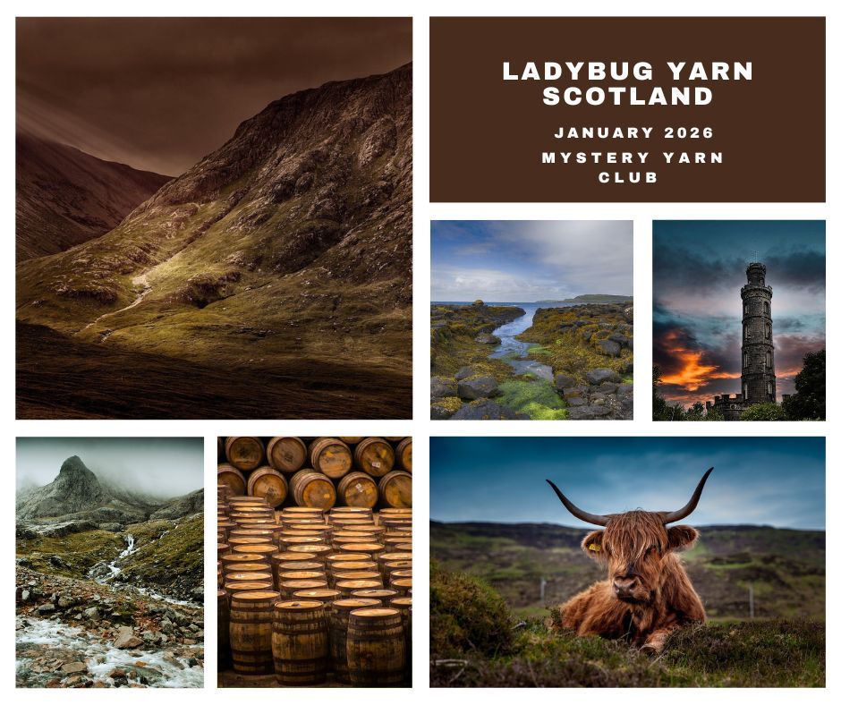 Scotland Mystery Yarn on Cascade Heritage