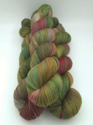 Scotland Mystery Yarn Ladybug on Organic Merino