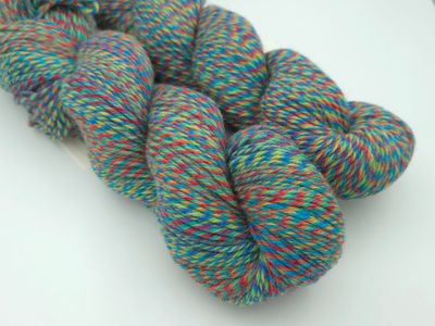 ​​​Cascade 220 Superwash Wave -131 Spectrum