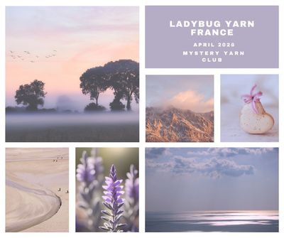 France Mystery Yarn Glitter Sock (Silver)