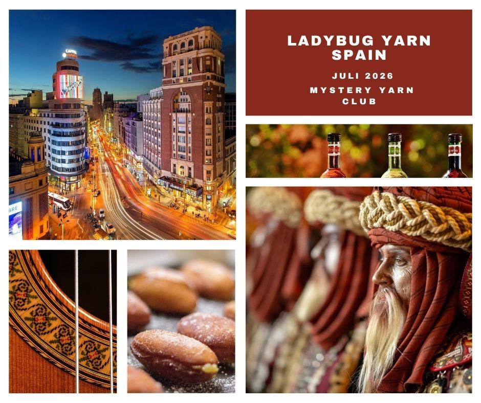 Spain Mystery Yarn Ladybug Sock 425m/100 g