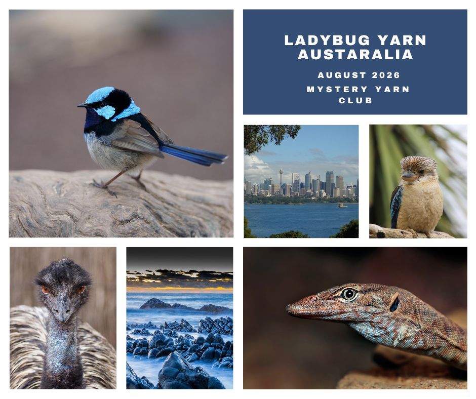 Scotland Mystery Yarn Ladybug on Organic Merino Scotland Mystery Yarn Ladybug on Organic Merino