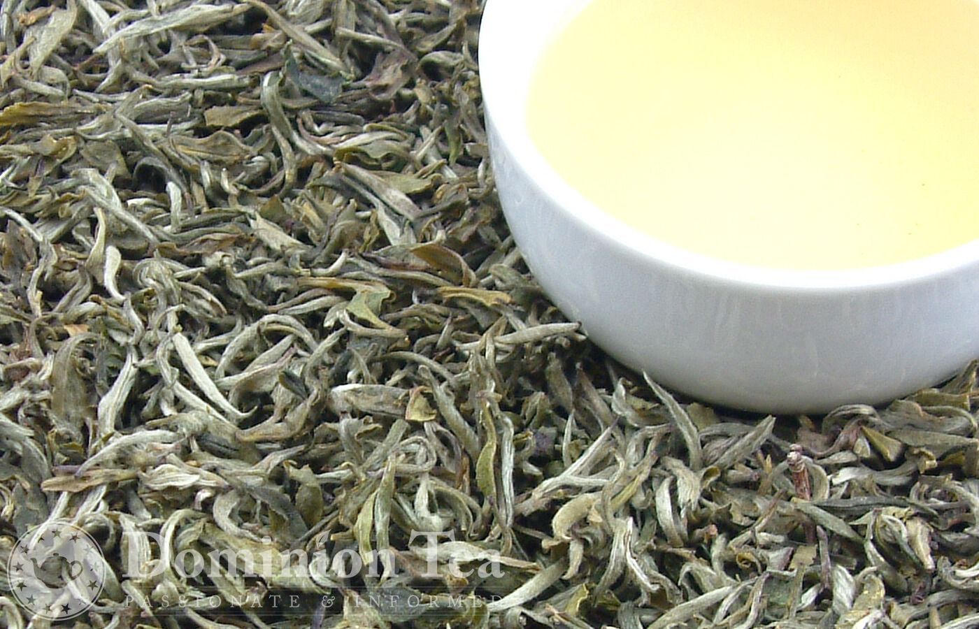 Himalayan White - Bulk Tea