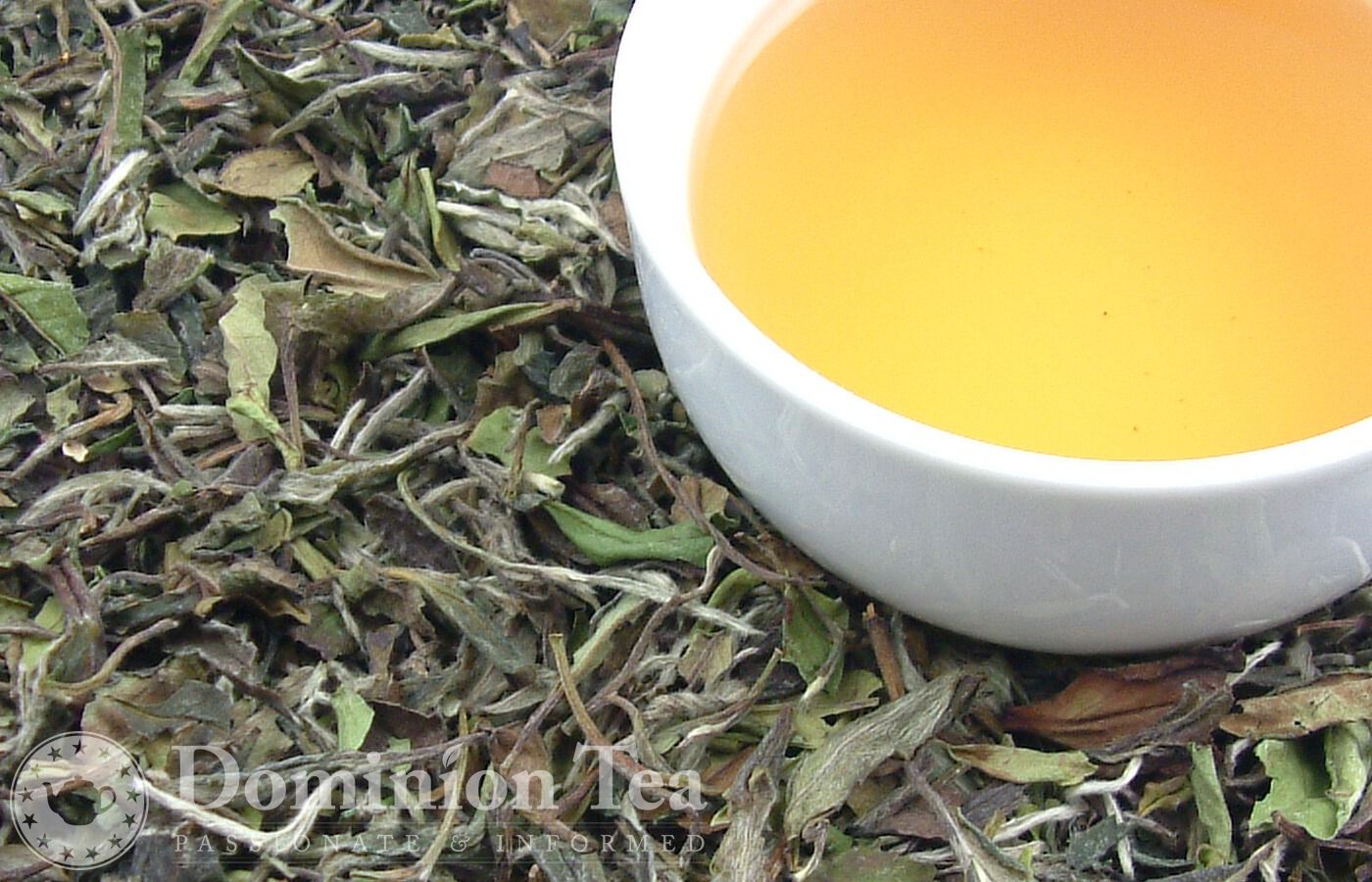 White Peony - Bulk Tea