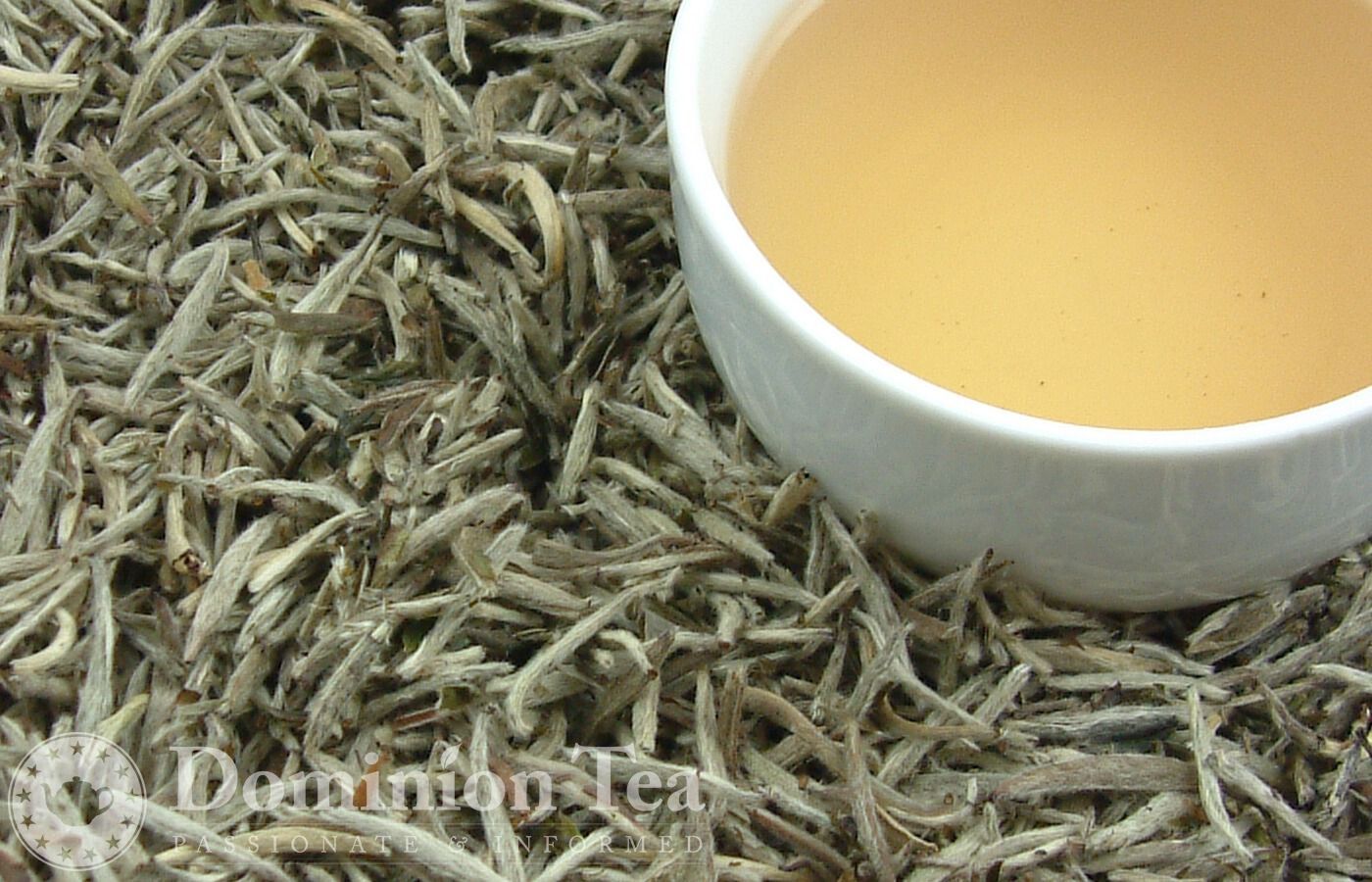 Bai Hao Silver Needle - Bulk Tea
