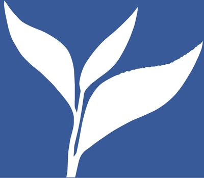 Custom Blend-VMFA-Apollo Blend - Bulk Tea