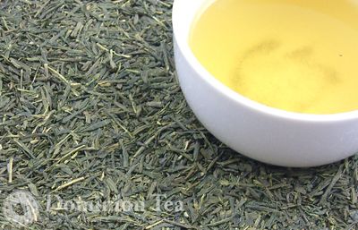 Sencha Organic - Bulk Tea