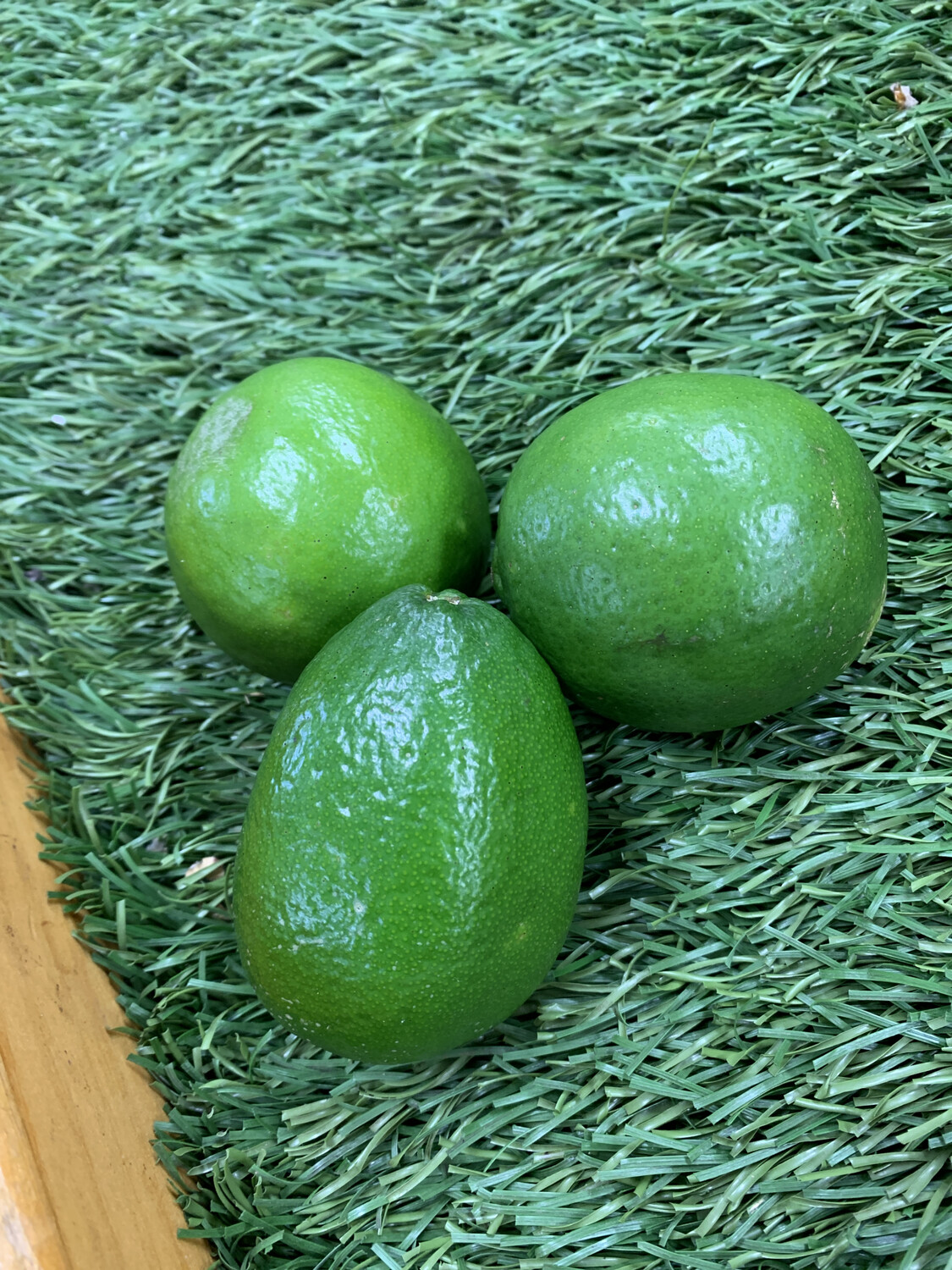 Lime Lime