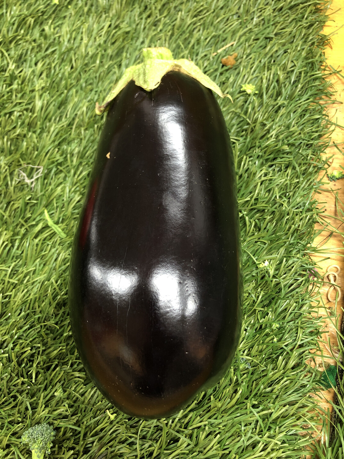 Eggplant -sm/med-Hlubik's Eggplant -sm/med-Hlubik's