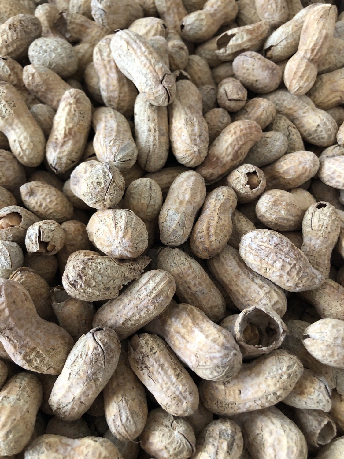 Peanuts - In Shell, 1lb Peanuts - In Shell, 1lb
