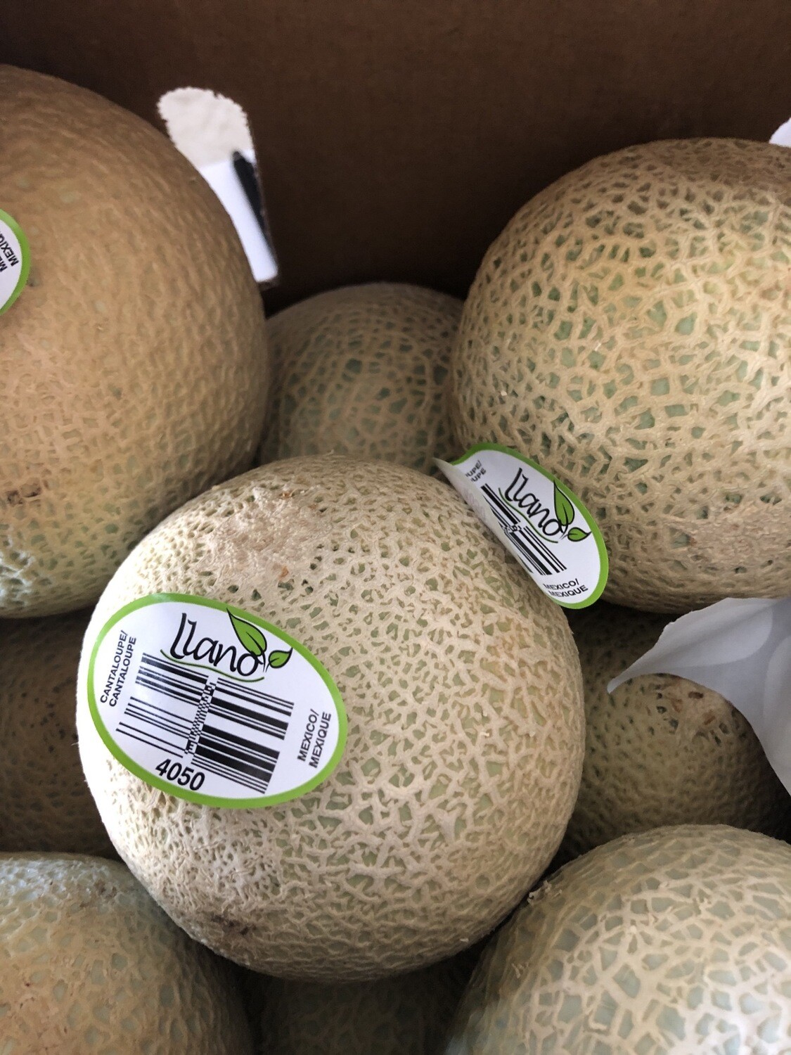 Melons - Cantaloupe, Hlubik’s Own Melons - Cantaloupe, Hlubik’s Own